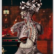 flores. Collage project by David Espinosa - 02.06.2019