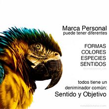 Personal Branding. Br, ing e Identidade, e Design de informação projeto de Ronald Durán - 07.02.2019