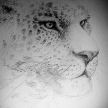 retratos y estudios anatómicos realistas. Un progetto di Belle arti, Disegno, Disegno a matita e Disegno realistico di saracl1989 - 07.02.2019