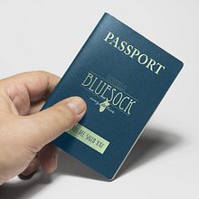 Bluesock Hostels Oporto. Art Direction, and Design project by Pablo Cacheiro - 10.10.2016