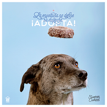 #sweetnessoverload. Projekt z dziedziny Cop, writing, Fotografia, T i pografia użytkownika Gustavo Rodriguez - 10.02.2019