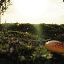 Landscape. 3D project by Xavier Chico Moreira - 02.11.2019
