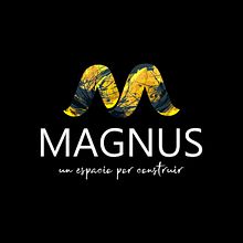 M A G N U S (web). Br, ing, Identit, Web Development, Graphic Design, and Web Design project by Carmen Zarez - 02.11.2019