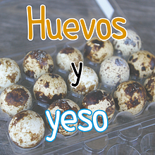 Huevos y yeso. Un proyecto de Artesanía, Bellas Artes, Creatividad y Fotografía de Jaume Pla Álvarez - 14.01.2016