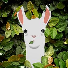 Fotografía + Ilustración. Photograph, and Digital Illustration project by sarah rodríguez iglesias - 02.12.2019