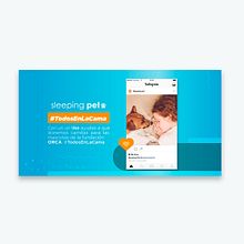 Sleeping Pet. Design, Design gráfico, Marketing, e Marketing digital projeto de Alexander Roldan - 15.02.2019