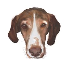 Ilustración. Traditional illustration project by Vicente Martínez Guaita - 02.01.2019