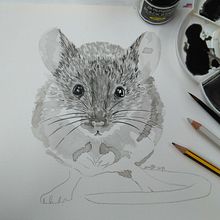  ratoncete sagutxo. Fine Arts, Creativit, Drawing, Pencil Drawing, and Artistic Drawing project by Anuka Díaz de Espada - 02.15.2019