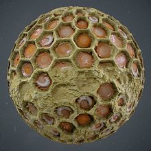 Honeycomb Bee - Substance Designer. 3D, and Video Games project by Angel Fernandes - 02.16.2018