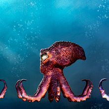 OCTOPUS STYLE!. Un proyecto de 3D, Diseño de personajes, Diseño de personajes 3D y Modelado 3D de Sergio Gimeno Martínez - 20.02.2019