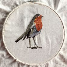 Petirrojo bordado. Embroider project by Susana Uribe Botero - 02.21.2019
