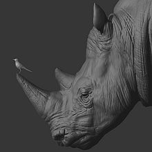 Rino y pájaro wip Ein Projekt aus dem Bereich 3D, Design von 3-D-Figuren, Skulptur, Traditionelle Illustration und 3-D-Modellierung von Luis Yrisarry Labadía - 25.02.2019
