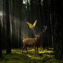 Bosque dorado. Un proyecto de Retoque fotográfico de Guillem Espada Serrano - 25.02.2019
