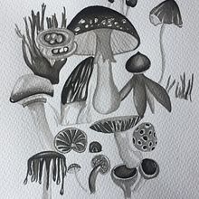 Mi Proyecto del curso: Hongos de Chile. Un progetto di Illustrazione tradizionale di Paola López Contreras - 27.02.2019