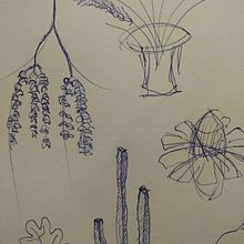 bocetos botánicos. Un progetto di Disegno a matita di Gonzalo Rodriguez - 05.03.2019