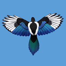 European Magpie. . Un progetto di 3D, Animazione, Belle arti, Character design e Papercraft di Diana Beltran Herrera - 05.03.2019