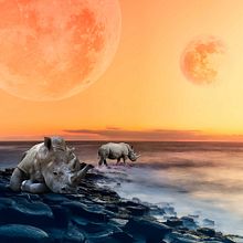 Mi Proyecto del curso: Secretos del fotomontaje y el retoque creativo. Photo Retouching, Photograph, Photograph, Post-production, VFX, Fine-Art Photograph, Photographic Composition, and Photomontage project by Belén - 03.05.2019