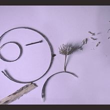 Mi Proyecto del curso: Las leyes de la percepción visual: unidad, peso, equilibrio y movimiento. Design, e Gestão de design projeto de Samuel Chavelas - 06.03.2019