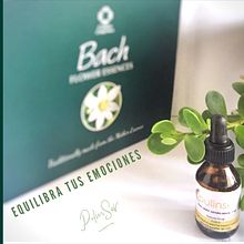 Mi Proyecto del curso: Fotografía profesional para Instagram . Kolase proyek oleh Isabel Machado - 03.07.2019