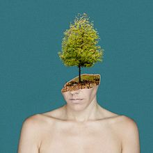 Fotografía / Fotomontaje. Collage, Photograph, Studio Photograph, Portrait Photograph, Digital Photograph, Photograph, Post-production, and Photo Retouching project by sarah rodríguez iglesias - 03.08.2019