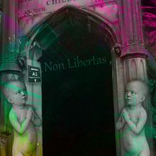 Non Libertas. Lighting Design, Photograph, Fine-Art Photograph, Portrait Photograph, Digital Photograph, Studio Photograph, Photographic Lighting, and Photo Retouching project by Carlos Pérez - 04.01.2016