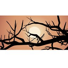 Kung Fu Panda. Projekt z dziedziny Trad, c i jna ilustracja użytkownika Natalia Araque Laosa - 12.03.2019