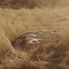 PLANETS | Fashion Film. Film, Film, Video, TV, Art Direction, Costume Design, Photograph, Fashion Photograph, Music, Photograph, Post-production, Audiovisual Production, Sound Design, VFX, and Video project by Rafa Arroyo - 03.01.2019