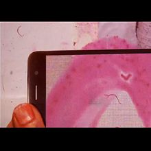 Open Credits/Intro Fargo . Animation, 2D Animation, Film, Film, Video, TV, Collage, Poster Design, Digital Photograph, Motion Graphics, Photograph, Post-production, Stop Motion, and Video project by Adrián Lacalle González - 03.13.2019