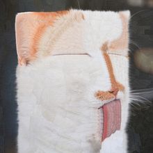 Charlie XI a XVIII. Character Design, Collage, Fine Arts, Traditional illustration, and Paper Craft project by Lola Dupre - 03.14.2019