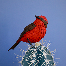 Mi Proyecto del curso: Petirrojo sobre cactus azulado. Projekt z dziedziny Papercraft użytkownika Gabriela Castellanos - 15.03.2019