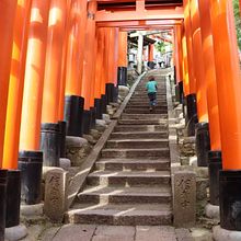 Japón - Modo AF AV TV M. Photograph, and Digital Photograph project by Sandra - 05.14.2019