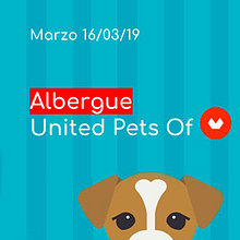 Real'Dogs - Adopción de perros con Realidad Aumentada. Un proyecto de Marketing Digital de Jaicer Miranda - 16.03.2019