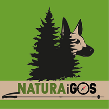 Diseño logo, tienda especializada. Design de logotipo projeto de patiarest - 20.03.2019