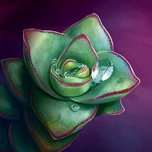 Mi portfolio de ilustración. Un proyecto de Ilustración tradicional de Solana Rey - 26.04.2019