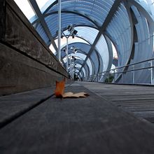 Fotografía 2. Fotografia, e Fotografia digital projeto de Kristina Casero - 03.04.2019