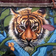 Mural para el C.E.I.P. República Dominicana Ein Projekt aus dem Bereich Urban Art, Bildende Künste und Malerei von Carlos Pérez Galán - 25.09.2017