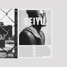 Seiyu — Identidad de Marca. Br, ing, Identit, Creativit, Editorial Design, and Graphic Design project by azul recreo - 03.27.2019