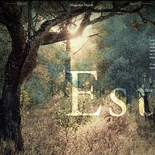 Magazine digital. Un proyecto de Retoque fotográfico, Concept Art, Fotografía digital, Diseño gráfico, UX / UI y Diseño editorial de Antonio Painn - 27.03.2019