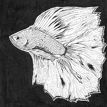 Peleador. Un progetto di Disegno, Disegno artistico e Fumetto di Juan Hernandez - 28.03.2019