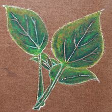 Plantas e insectos regionales (Yucatán). Un proyecto de Bellas Artes, Creatividad, Dibujo artístico, Pintura y Pintura a la acuarela de Ana Vzqz - 18.07.2018