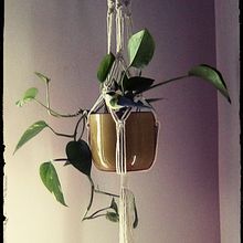 Macetero macramé. Decoração de interiores projeto de Rebeca Caballero Lezcano - 03.04.2019