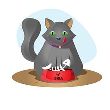 Sira the cat. Een project van Ontwerp van personages, Vectorillustratie,  Schetsen,  Tekening y Digitale illustratie van albert porras - 03.04.2019