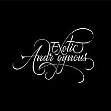 Título para el cortometraje Exotic Androgynous. Calligraph, Logo Design, Lettering, T, and pograph project by Ana Hernández - 11.23.2017