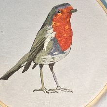 petirrojo de Oralia. Een project van  van Oralia González - 04.04.2019