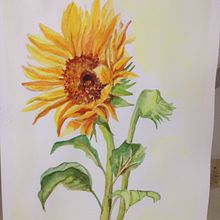 oceano come il cielo. Projekt z dziedziny Trad, c i jna ilustracja użytkownika Patrizia Bacuzzi - 06.04.2019