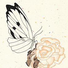 F.G.Lorca - El maleficio de la mariposa. Drawing, Editorial Design, and Traditional illustration project by "lanómada" - 04.08.2019