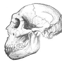 Ilustración. Desenho artístico projeto de Carmen Salesa Calvo - 11.04.2019