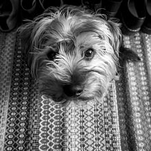 Eli - Maria Hibou. Un proyecto de Fotografía con móviles de Maria Hibou - 14.04.2019