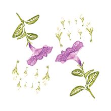 Mi Proyecto del curso: Ilustración botánica con acuarela. Un progetto di Design, Illustrazione tradizionale e Pittura ad acquerello di Marie Cediel - 14.04.2019