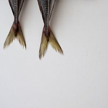 La pescaderia . Projekt z dziedziny Fotografia użytkownika Maria Teresa Borràs Serra - 14.04.2019